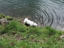 img_1819