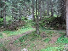 img_1824