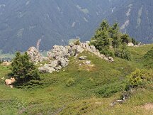 img_2036