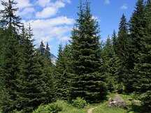 img_2182