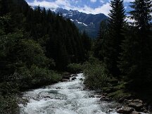 img_2186