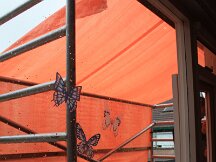 img_2497