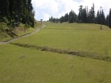 img_8221