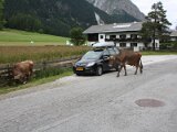 img_8435