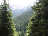 img_8515