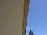img_8607