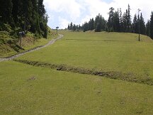 img_8221