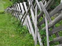 img_0824