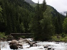 img_8407