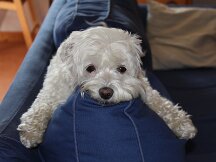 img_8465