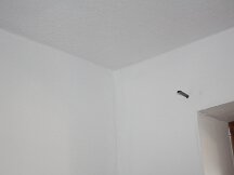 img_8487