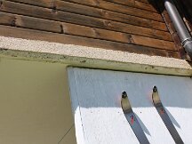 img_8600