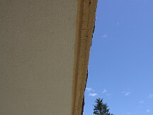 img_8607