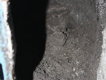 img_8676