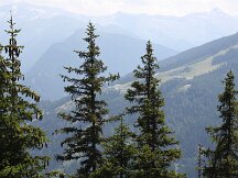 img_8694