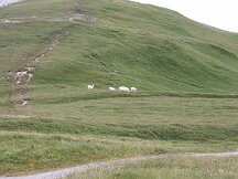 img_8696