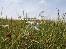 img_8705