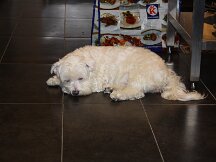 img_0150