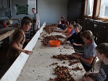 img_1955