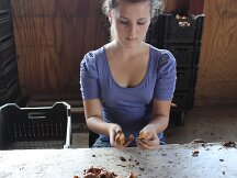 img_1965