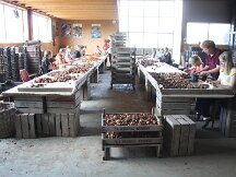 img_1974
