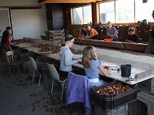 img_1981