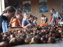 img_1984