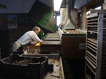 img_1990