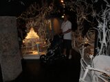 img_2377