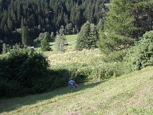 img_2029