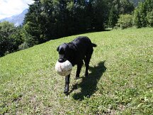 img_2178