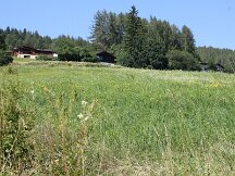 img_2217