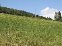 img_2218
