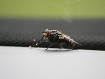 img_2582
