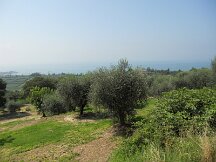 dscn0280