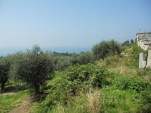 dscn0281