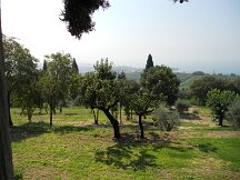dscn0282