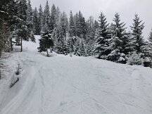 cimg0138