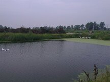 2013-08-25 11.25.04
