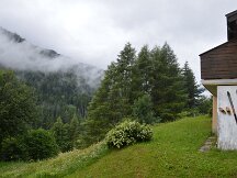 dsc_0541