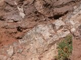 2015-09-09 09.52.36