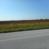 dscn0459