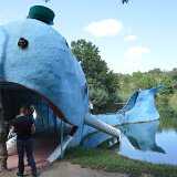 Catoose Blue whale