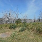 dscn0679
