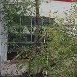 20150904_182422