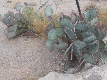 2015-09-08 13.46.04