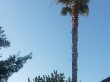 2015-09-11 07.03.15