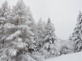 dsc_0019