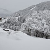 dsc_0002