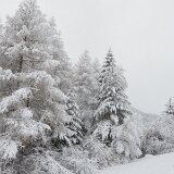 dsc_0019